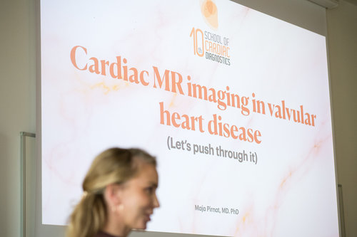 10th School of Cardiac Diagnostics, day 1 / Photo: Saša Huzjak / SHtudio.eu
