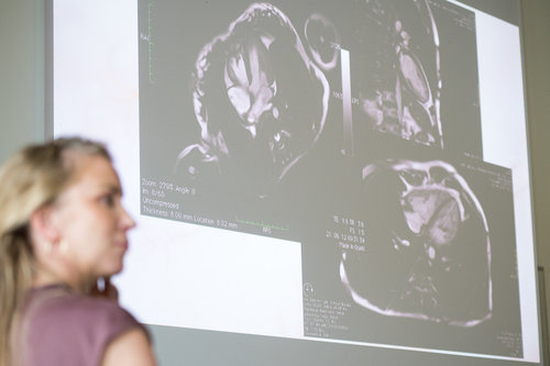10th School of Cardiac Diagnostics, day 1 / Photo: Saša Huzjak / SHtudio.eu