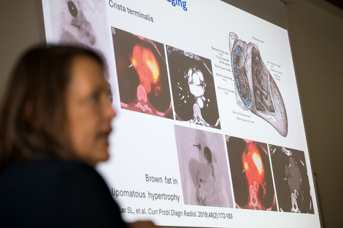 10th School of Cardiac Diagnostics, day 2 / Photo: Saša Huzjak / SHtudio.eu