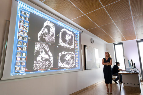 9th School of Cardiac Diagnostics, day 2 / Photo: Saša Huzjak / SHtudio.eu