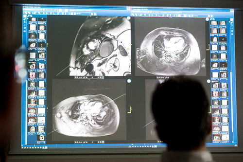 9th School of Cardiac Diagnostics, day 2 / Photo: Saša Huzjak / SHtudio.eu