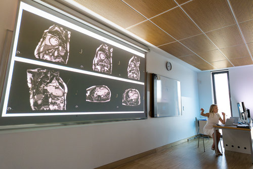 9th School of Cardiac Diagnostics, day 3 / Photo: Saša Huzjak / SHtudio.eu