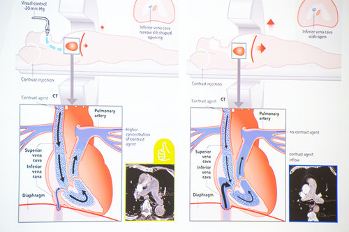 9th School of Cardiac Diagnostics, day 3 / Photo: Saša Huzjak / SHtudio.eu