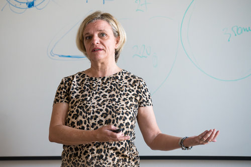 9th School of Cardiac Diagnostics, day 4 / Photo: Saša Huzjak / SHtudio.eu